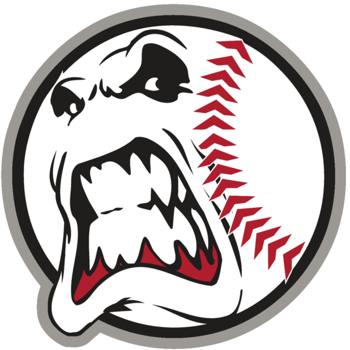 AR6 SOFTBALL 25 RQC Vignette