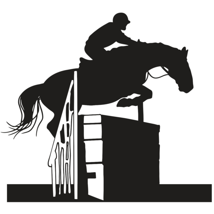 AR EQUEST 20 RC Vignette