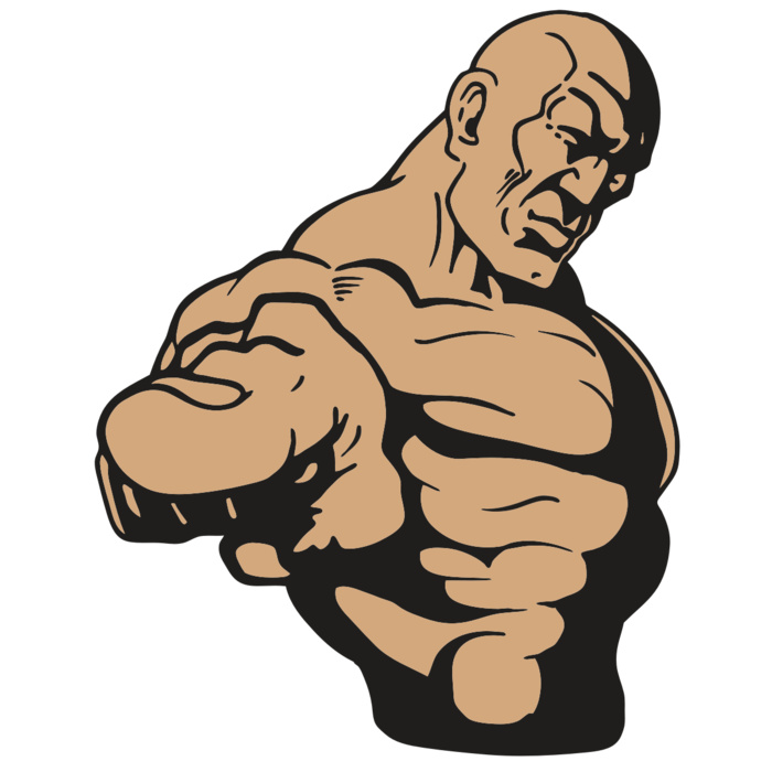 AR ATTITUDE 15 RQC Vignette