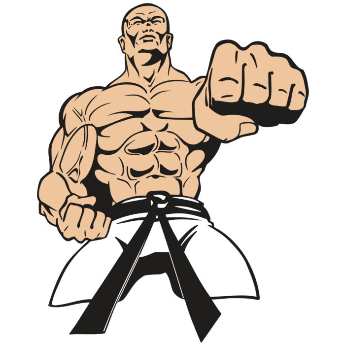 AR MARTIAL ARTS 11 RC Vignette