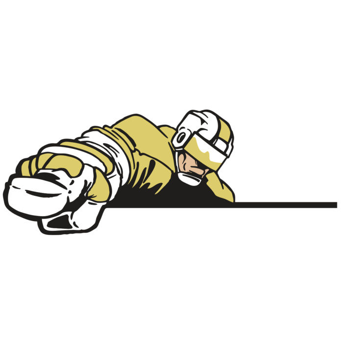 AR3 HOCKEY 19 RQC Vignette