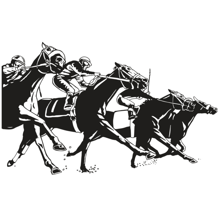 AR EQUEST 13 RC Vignette