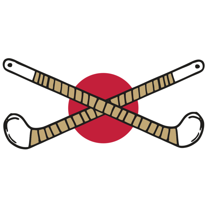 AR FHOCKEY 10 RC Vignette