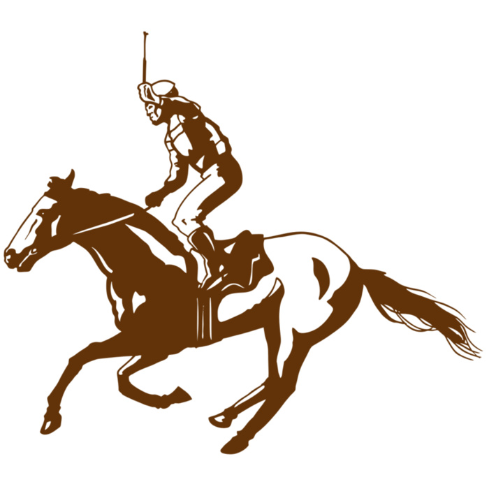 AR EQUEST 11 RC Vignette