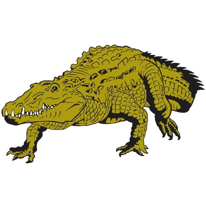 AR GATOR 13 RQC Vignette