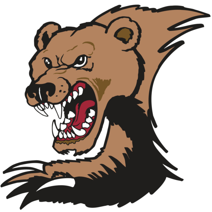 AR BEAR 56 RC Vignette