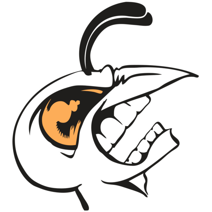 BAW BEE 19 RC Vignette