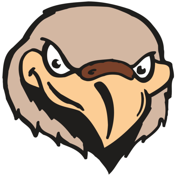 AR FALCON 33 RC Vignette