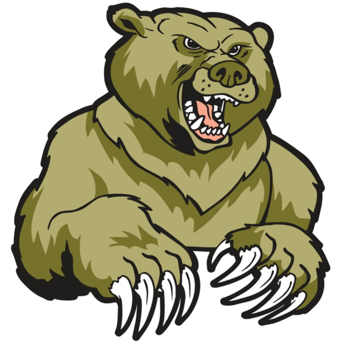 AR BEAR 49 RC Vignette