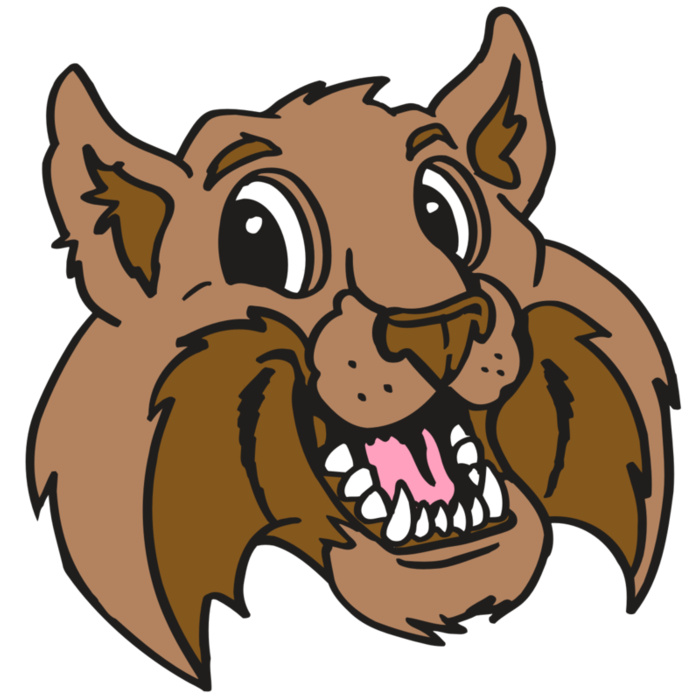 AR5 BOBCAT 05 RQC Vignette