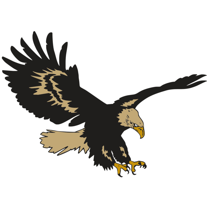 AR EAGLE 47 RC Vignette