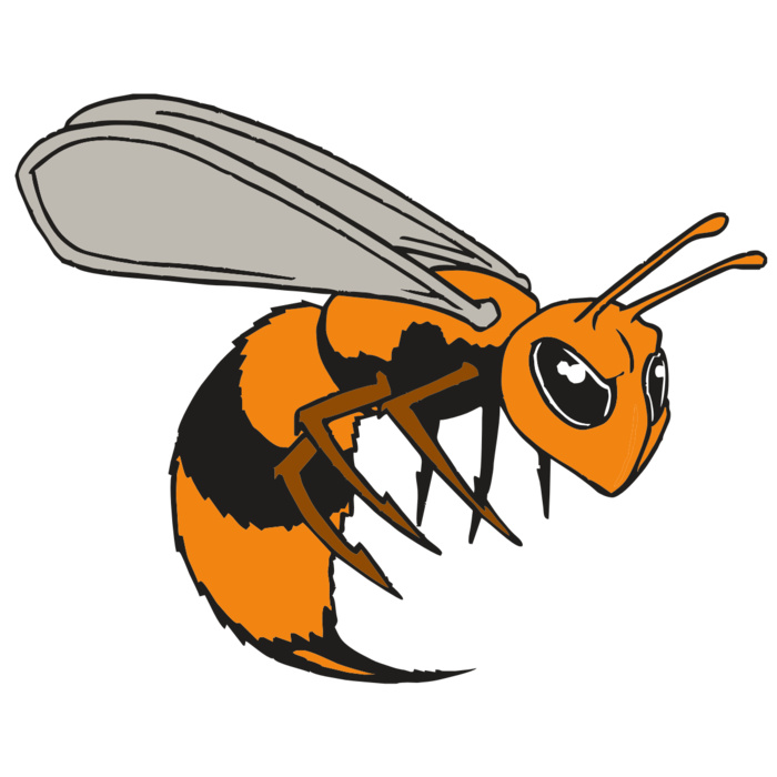 AR BEE 34 RC Vignette