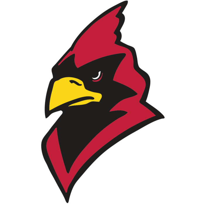 AR CARDINAL 22 RC Vignette