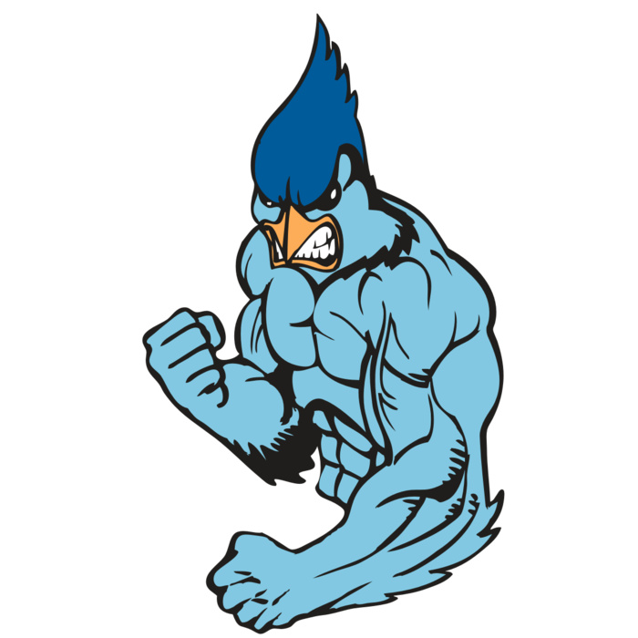 BAW BLUEJAY 13 RC Vignette