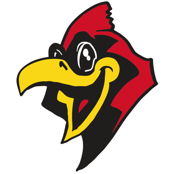 AR CARDINAL 36 RC Vignette