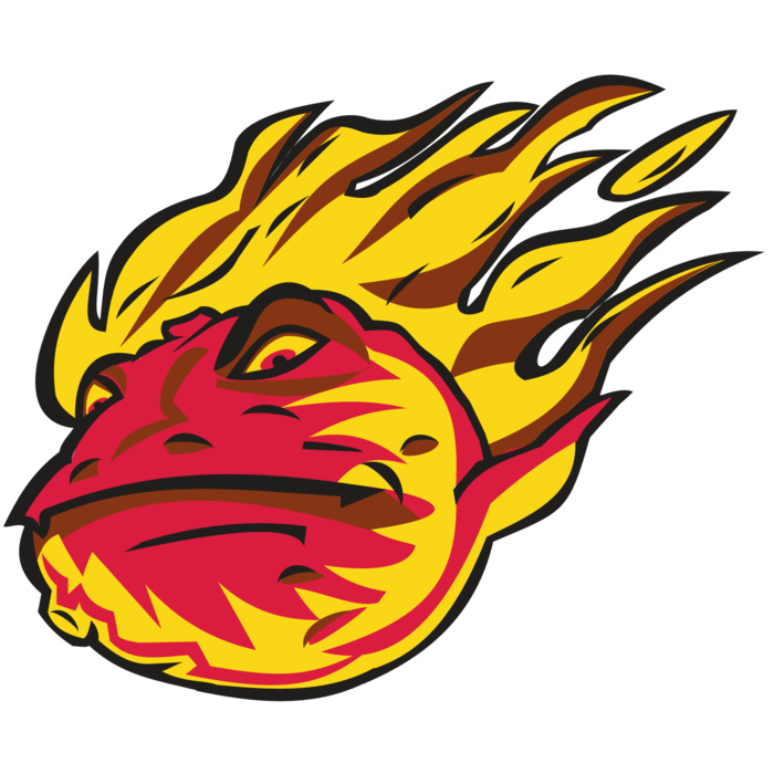 COMET HD0501 RQC Vignette