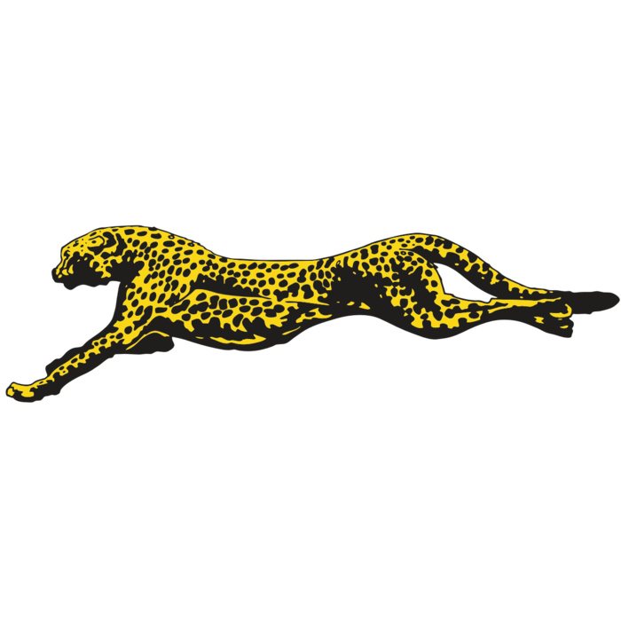 AR CHEETAH 12 RC Vignette