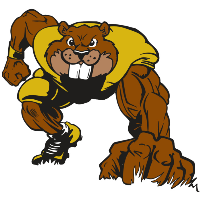 AR14 BEAVER FBLL 03 RQC Vignette