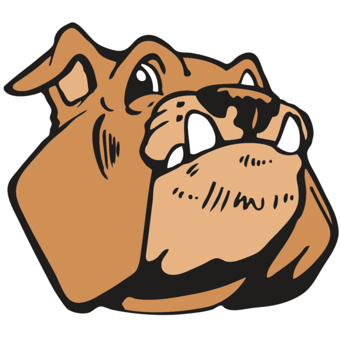 AR2 BDOG 03 RQC Vignette