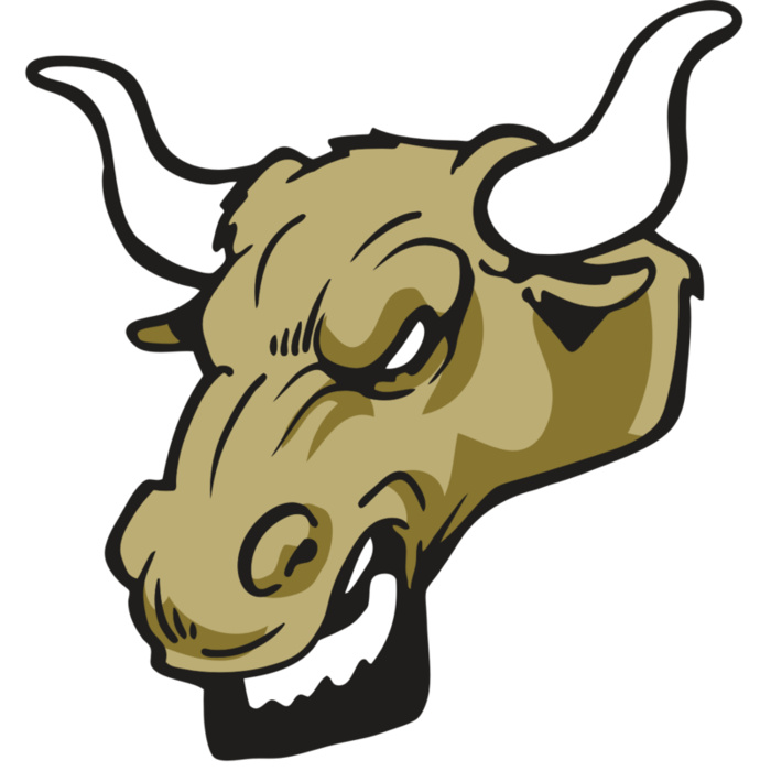 AR3 BULL 02 RQC Vignette