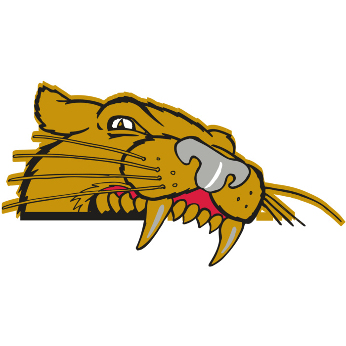 AR COUGAR 73 RC Vignette