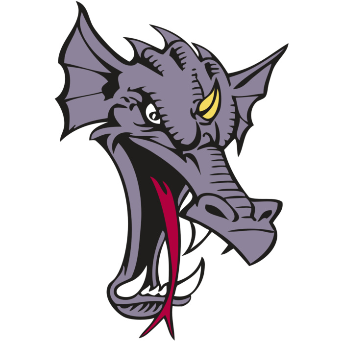 BAW DRAGON 05 RC Vignette