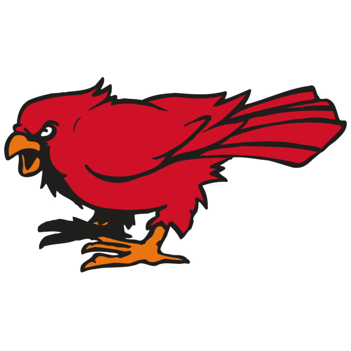 AR CARDINAL 59 RC Vignette