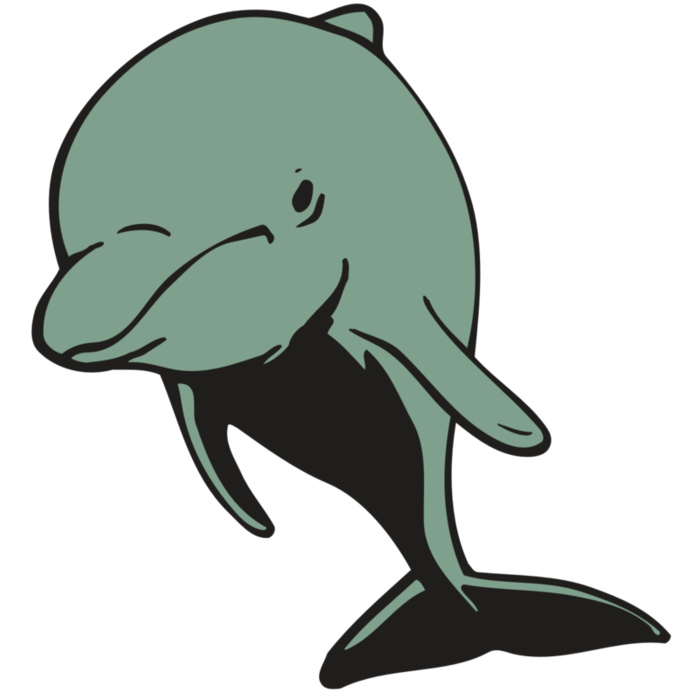 AR DOLPIN 11 RC Vignette