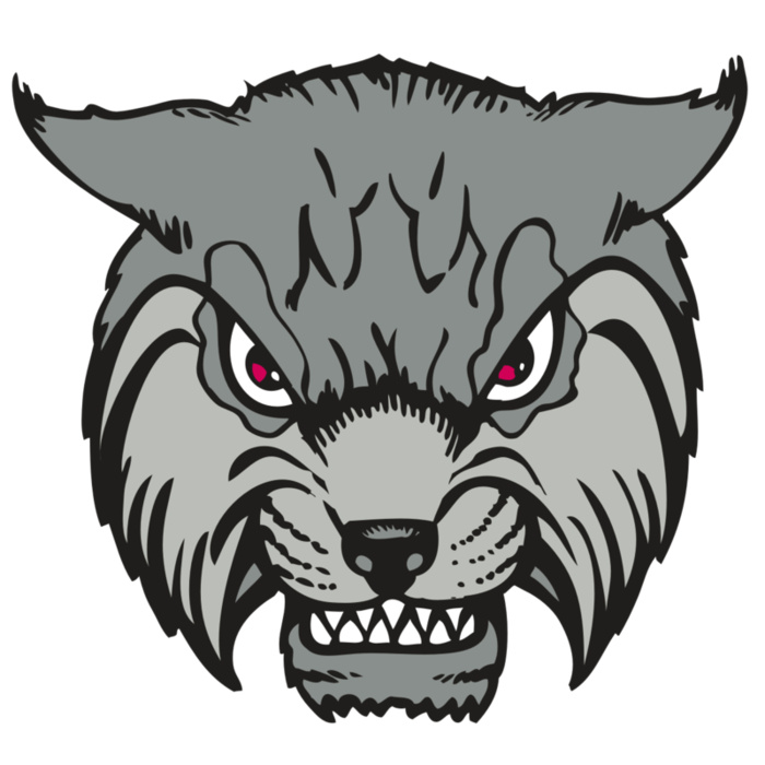 BAW BOBCAT 02 RC Vignette