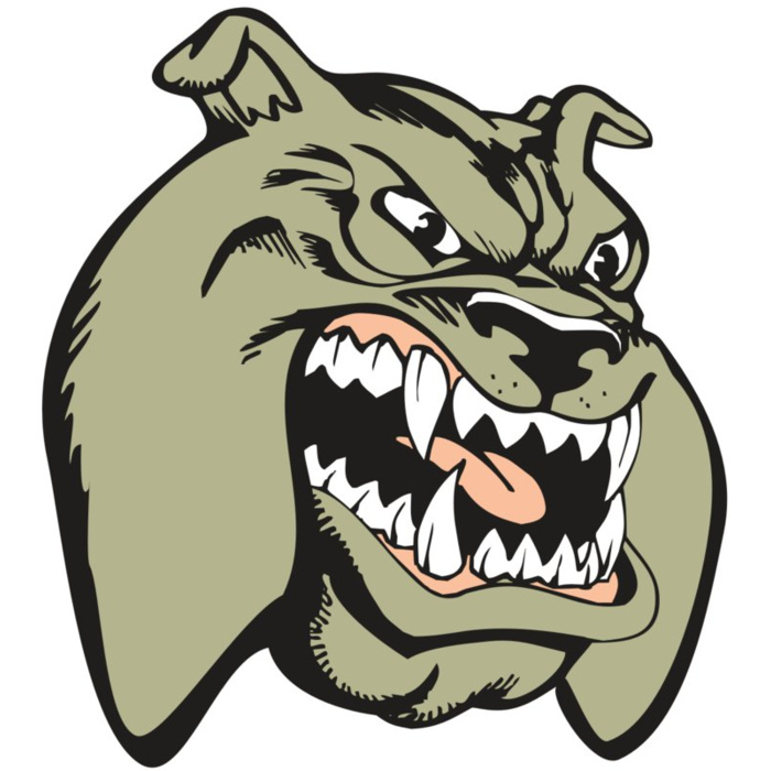 BAW BULLDOG 03 RC Vignette