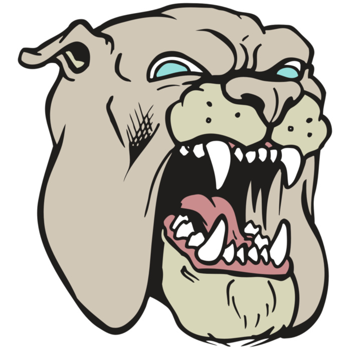 AR BDOG 42 RC Vignette