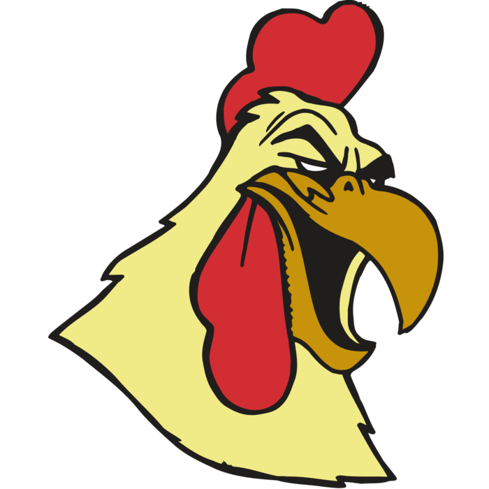 AR5 Gamecock 02 RQC Vignette