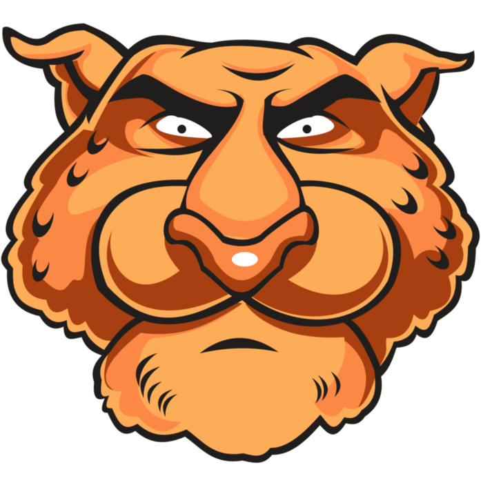 CHEETAH HD0501 RQC Vignette