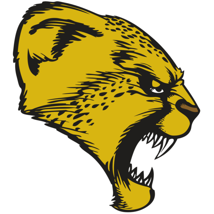 BAW CHEETAH 13 RC Vignette