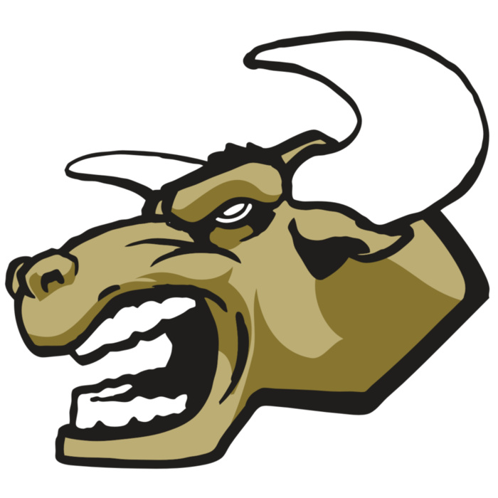 AR3 BULL 01 RQC Vignette