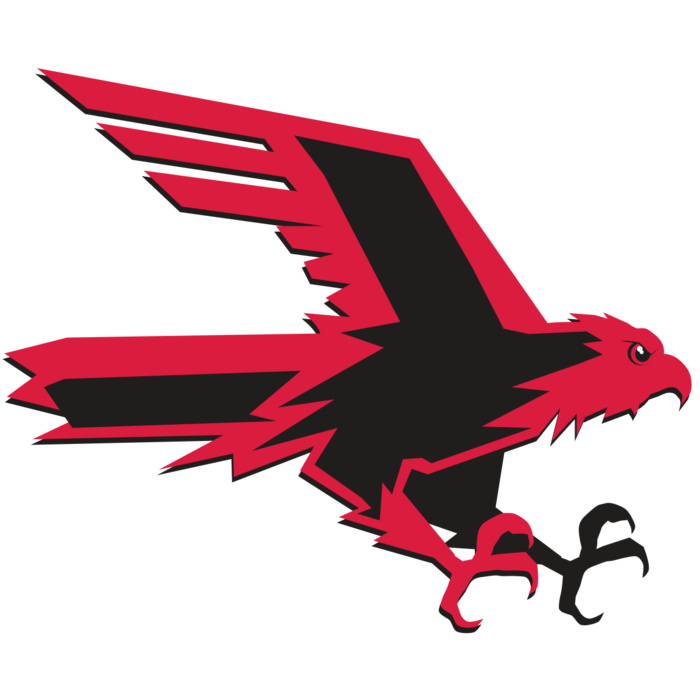 AR9 FALCON 02 RQC Vignette