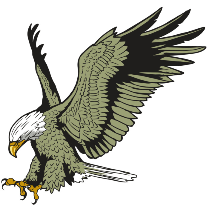 AR10 EAGLE 03 RQC Vignette