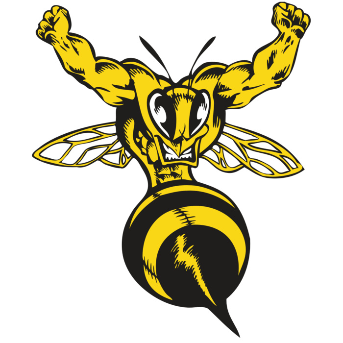 BAW BEE 04 RC Vignette