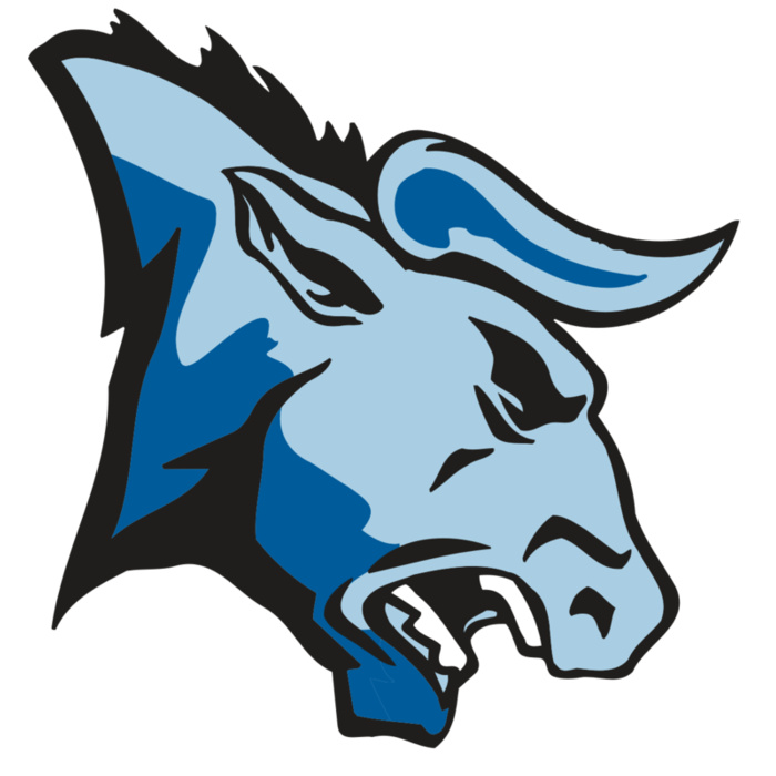 AR BULL 20 RC Vignette