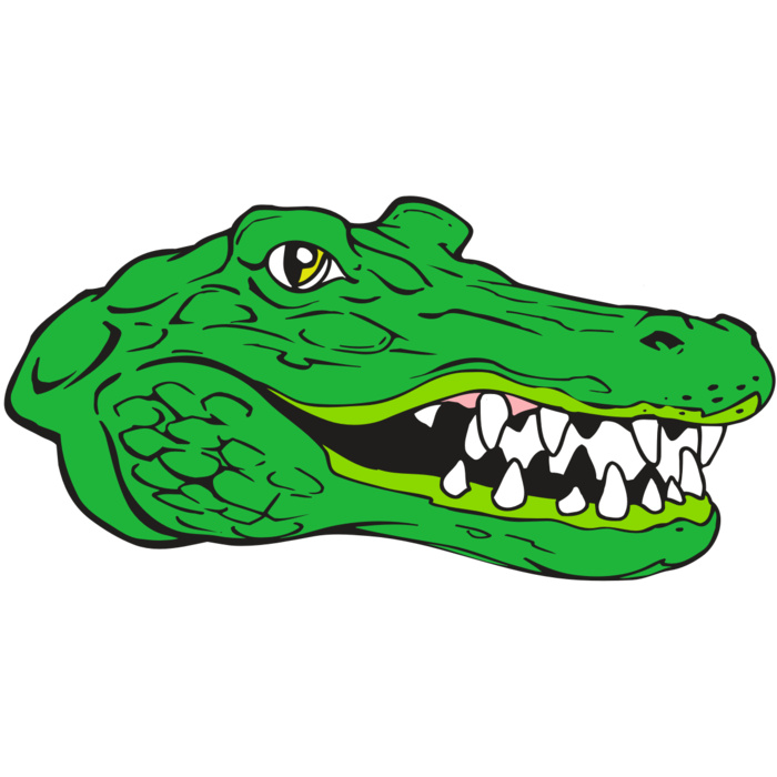 AR GATOR 23 RQC Vignette