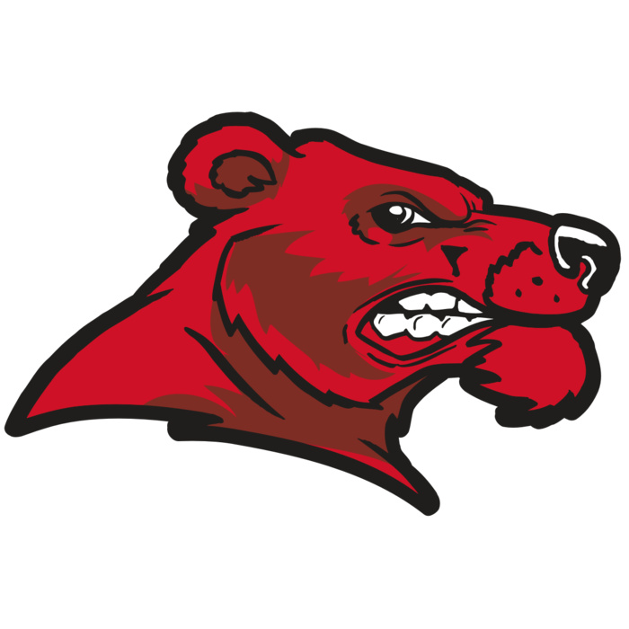 AR BEAR 55 RC Vignette