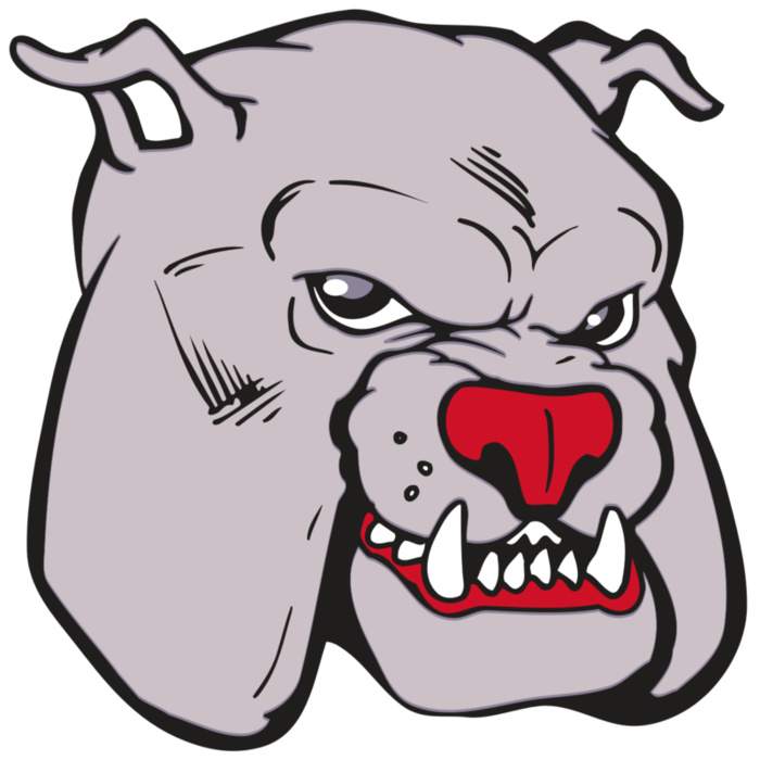 AR BDOG 11 RC Vignette