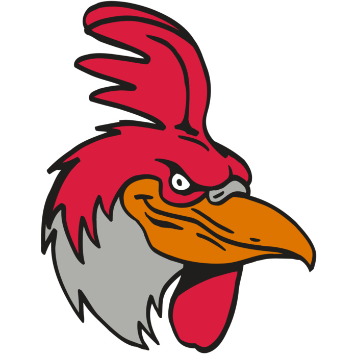 AR5 Gamecock 05 RQC Vignette