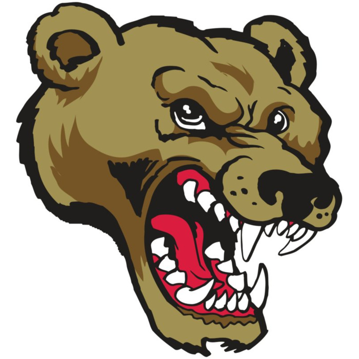 AR10 BEAR 01 RQC Vignette