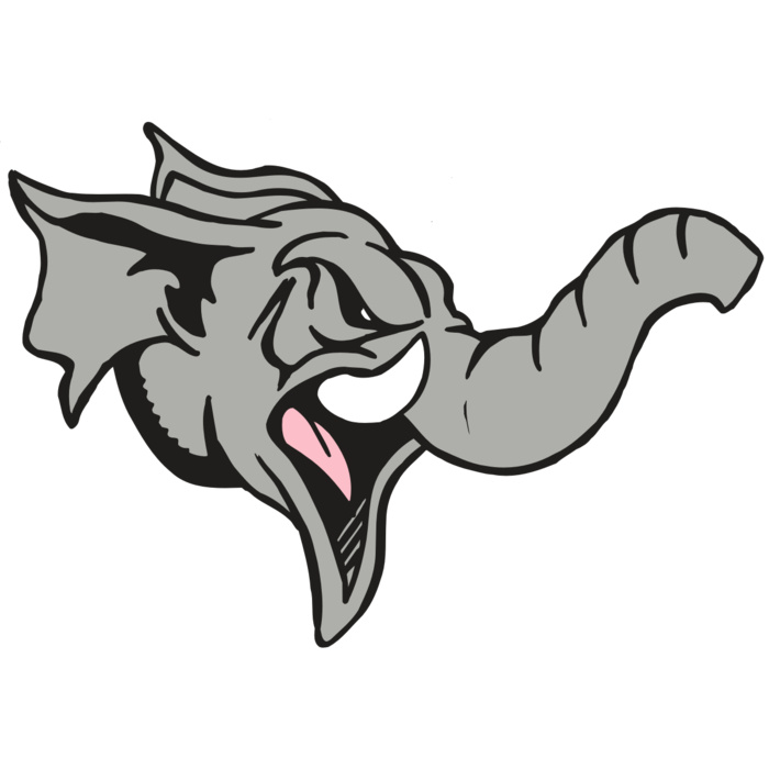 AR5 Elephant 03 RQC Vignette