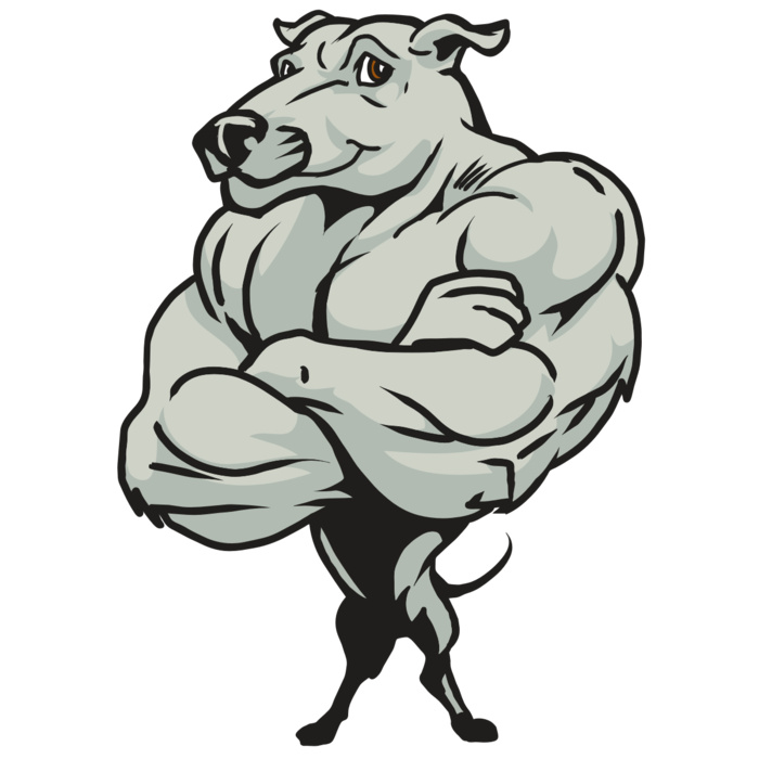 AR22 GREYHOUND 06 RQC Vignette