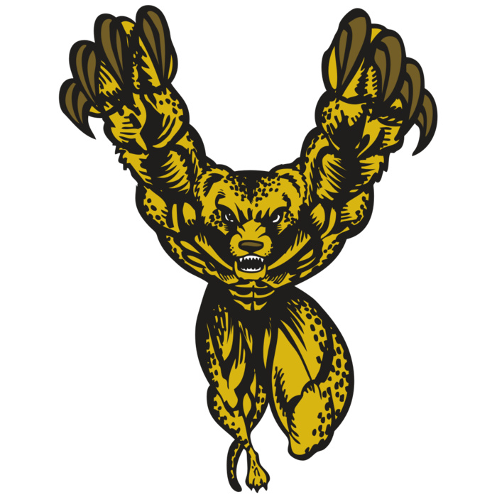 BAW CHEETAH 09 RC Vignette