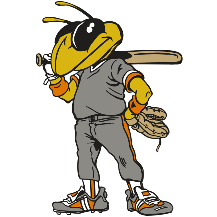 AR5 BEE 17 RQC Vignette