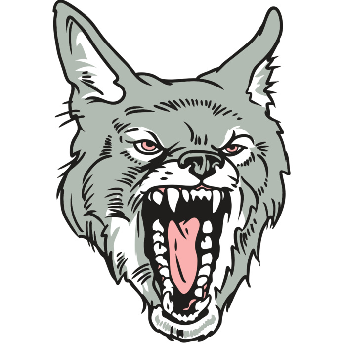 AR32 COYOTE 11 RQC Vignette