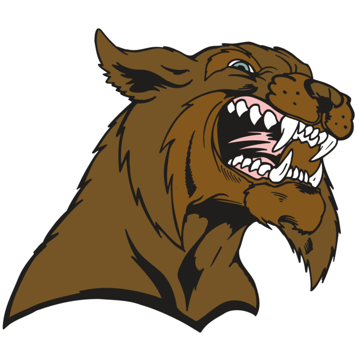 AR5 BOBCAT 21 RQC Vignette